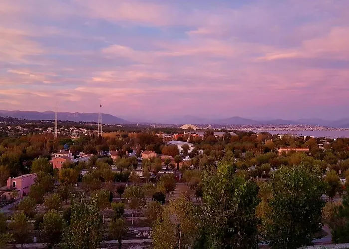 Vista *
